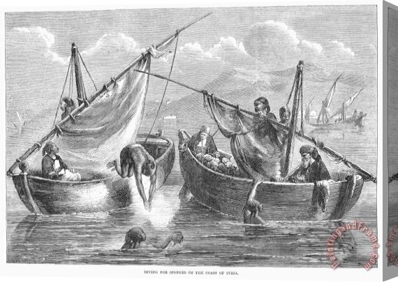 Others Syria: Sponge Divers, 1862 Stretched Canvas Print / Canvas Art
