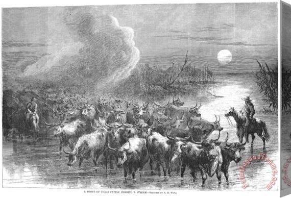 Others Texas: Cattle Drive, 1867 Stretched Canvas Painting / Canvas Art