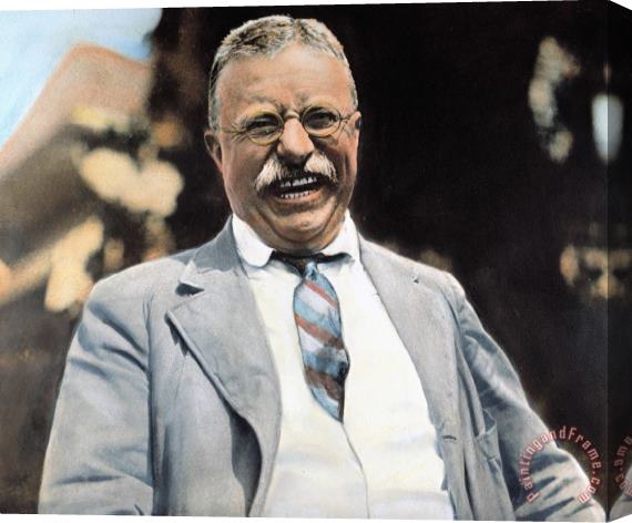Others Theodore Roosevelt Stretched Canvas Print / Canvas Art