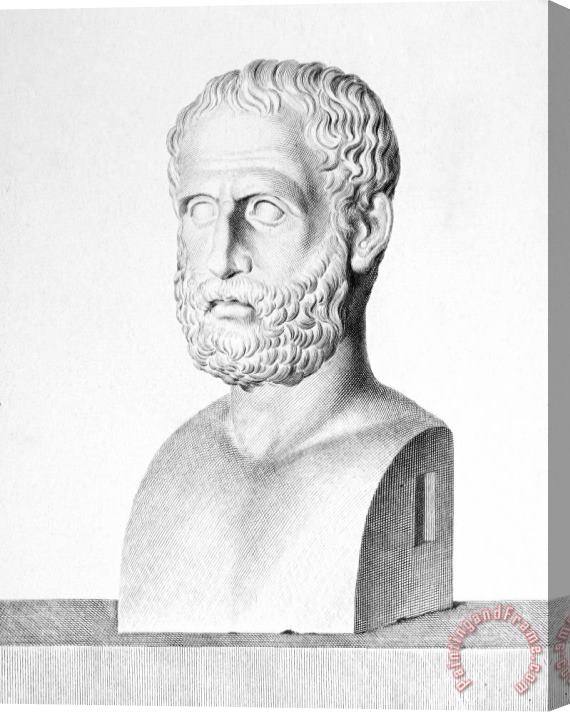 Others Theophrastus Stretched Canvas Print / Canvas Art