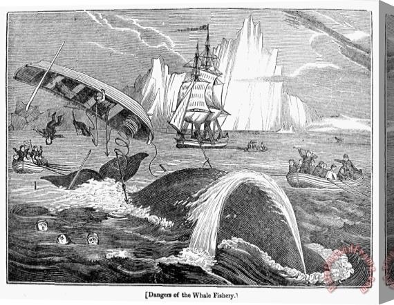 Others Whaling, 1833 Stretched Canvas Print / Canvas Art