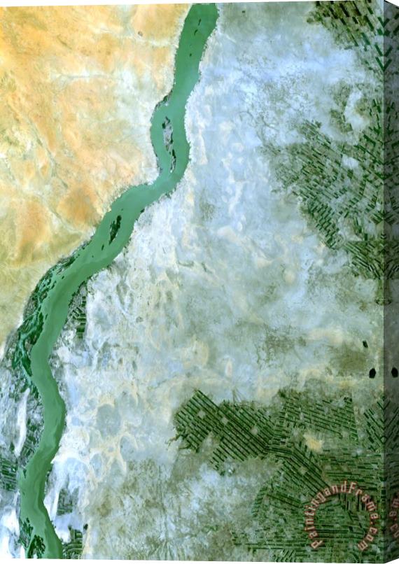 Others White Nile Sudan Stretched Canvas Painting / Canvas Art