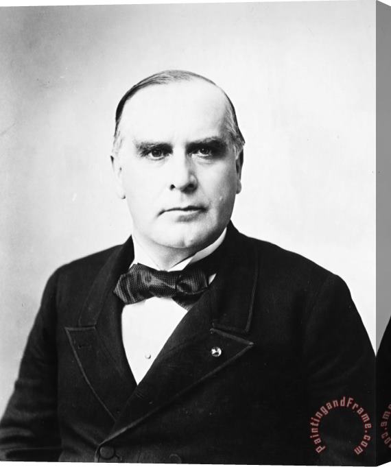 Others WILLIAM McKINLEY (1843-1901) Stretched Canvas Print / Canvas Art
