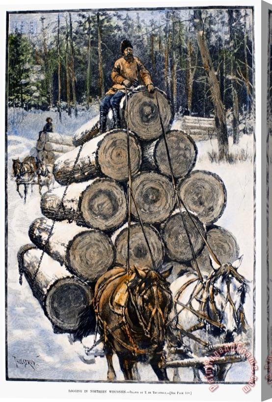 Others Wisconsin: Lumbering, 1885 Stretched Canvas Painting / Canvas Art