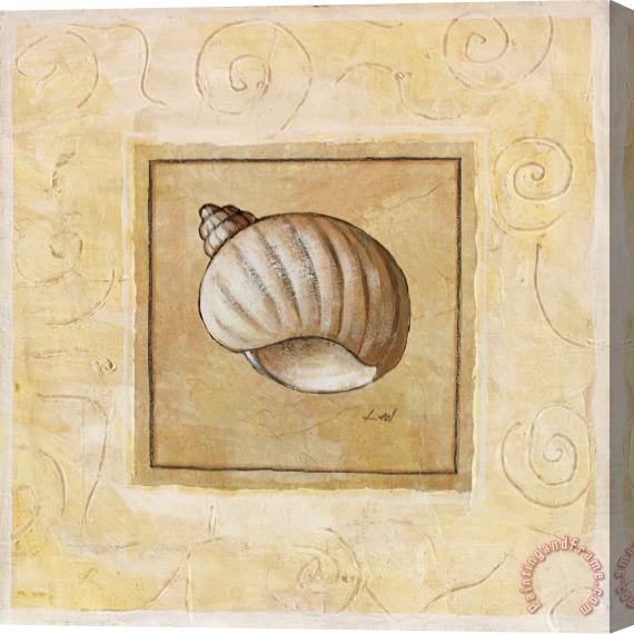 Pablo Esteban Bonnet Shell Stretched Canvas Painting / Canvas Art