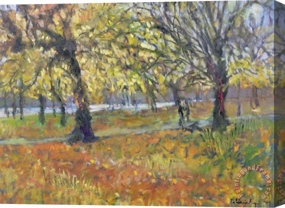 Patricia Espir November In Hyde Park Stretched Canvas Painting / Canvas Art