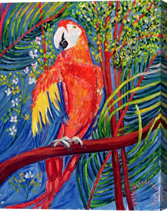 Patricia Eyre Pretty Polly Stretched Canvas Painting / Canvas Art