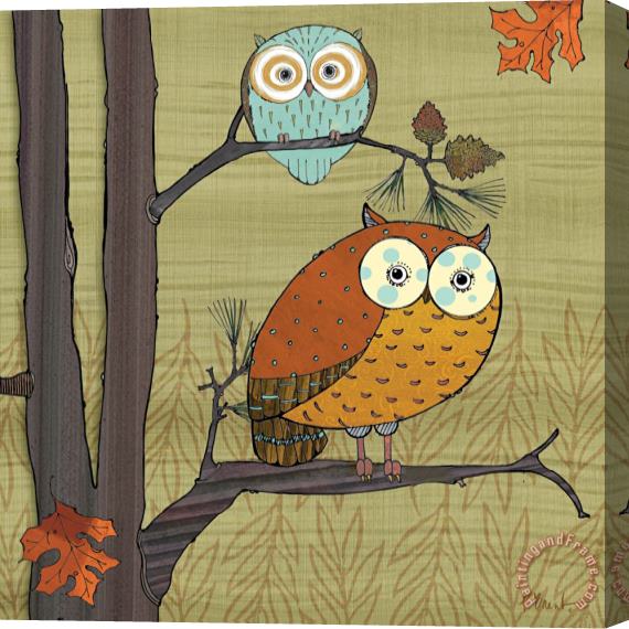 Paul Brent Awesome Owls I Stretched Canvas Print / Canvas Art