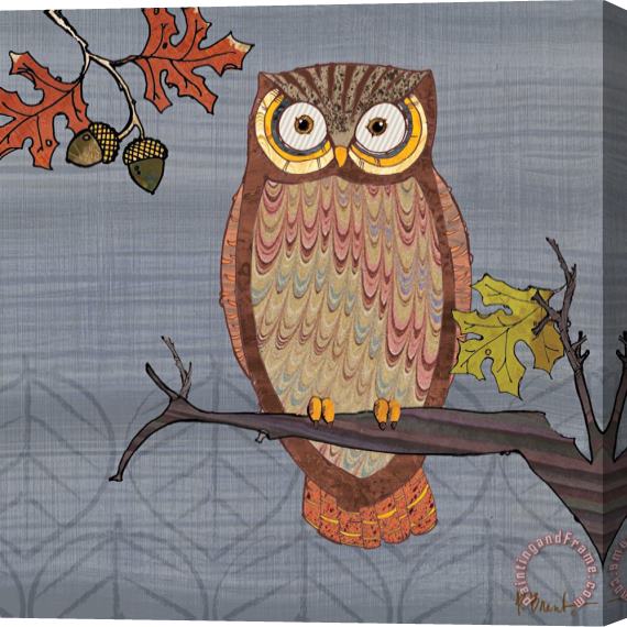 Paul Brent Awesome Owls II Stretched Canvas Painting / Canvas Art