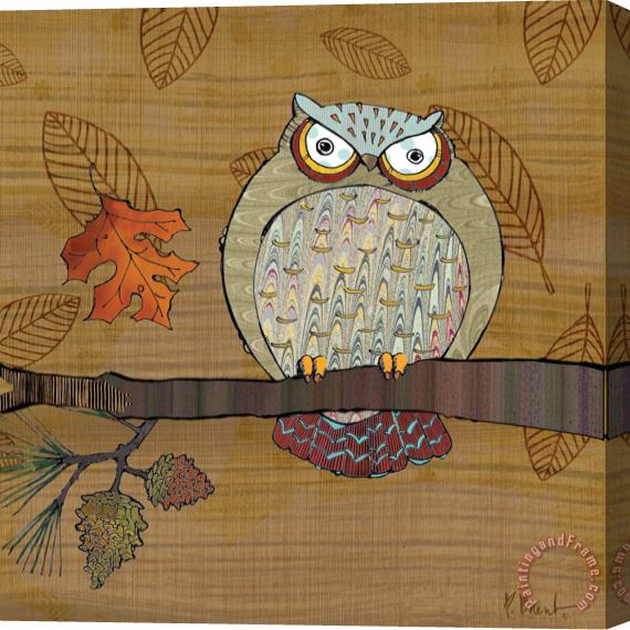 Paul Brent Awesome Owls III Stretched Canvas Print / Canvas Art