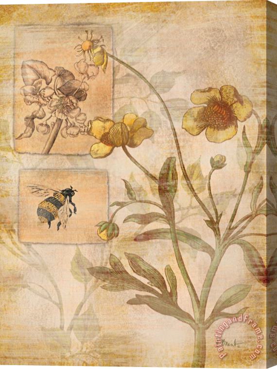 Paul Brent Flora Bumble Bee Stretched Canvas Print / Canvas Art