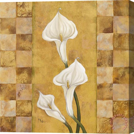 Paul Brent Flora Del Rey II Stretched Canvas Painting / Canvas Art