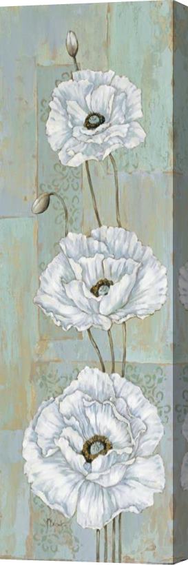 Paul Brent Florentine Poppies Stretched Canvas Painting / Canvas Art