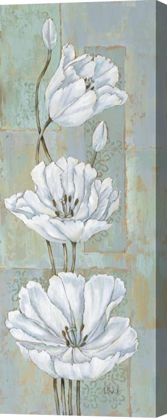Paul Brent Florentine Tulips Stretched Canvas Painting / Canvas Art