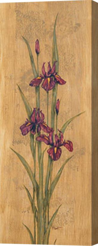 Paul Brent Iris of Delos I Stretched Canvas Painting / Canvas Art