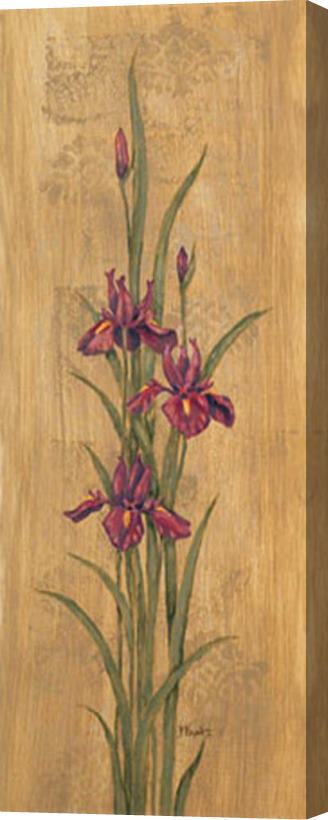 Paul Brent Iris of Delos II Stretched Canvas Painting / Canvas Art
