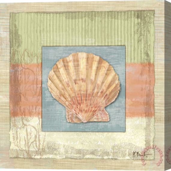 Paul Brent Montego Scallop Stretched Canvas Painting / Canvas Art