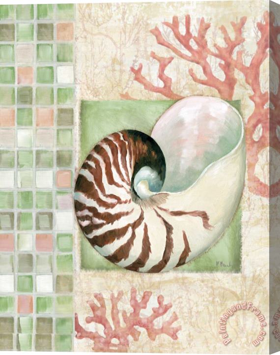 Paul Brent Mosaic Shell Collage I Stretched Canvas Print / Canvas Art