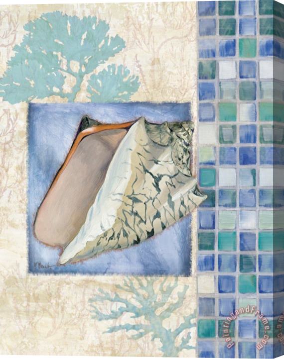 Paul Brent Mosaic Shell Collage III Stretched Canvas Print / Canvas Art