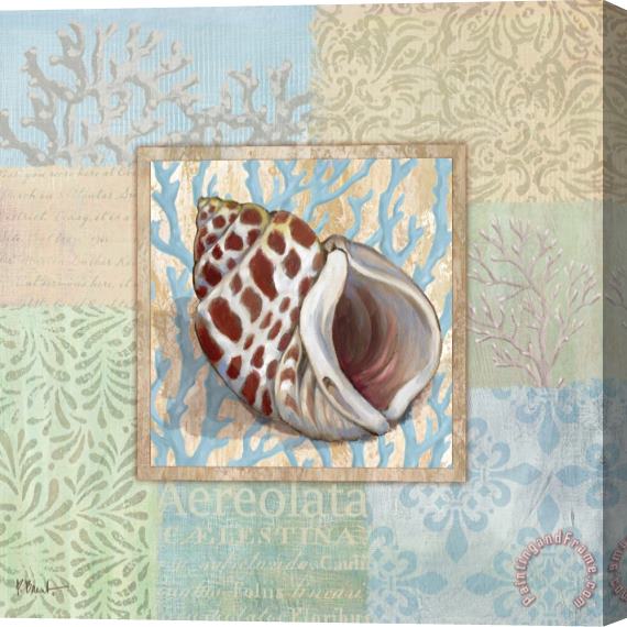 Paul Brent Oceanic Shell Collage I Stretched Canvas Print / Canvas Art