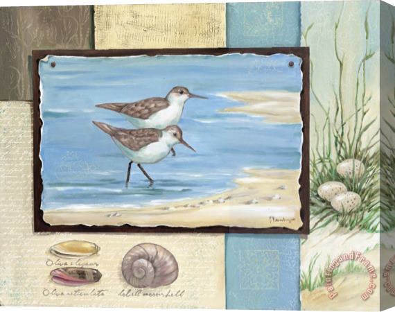 Paul Brent Sandpiper Collage I Stretched Canvas Painting / Canvas Art