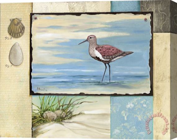 Paul Brent Sandpiper Collage II Stretched Canvas Painting / Canvas Art