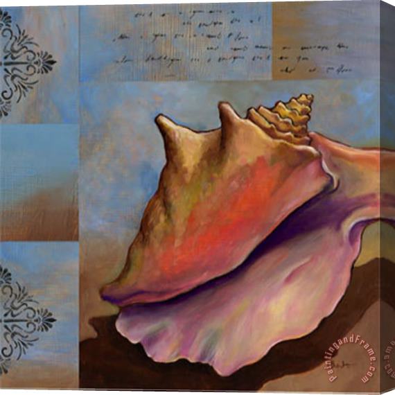 Paul Brent Sanibel Conch Stretched Canvas Print / Canvas Art