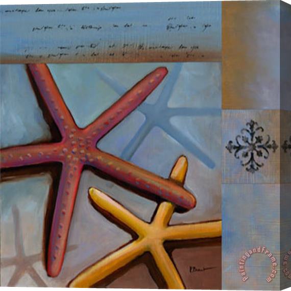 Paul Brent Sanibel Starfish Stretched Canvas Print / Canvas Art