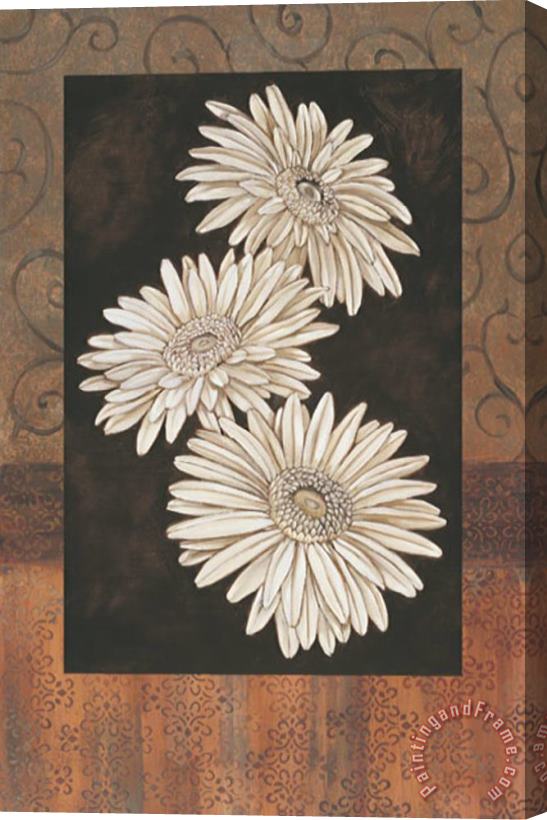 Paul Brent Santorini Daisies Stretched Canvas Painting / Canvas Art