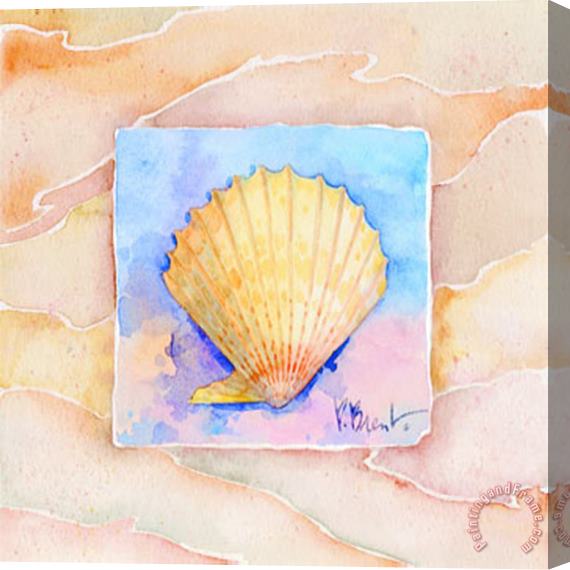 Paul Brent Scallop Stretched Canvas Painting / Canvas Art