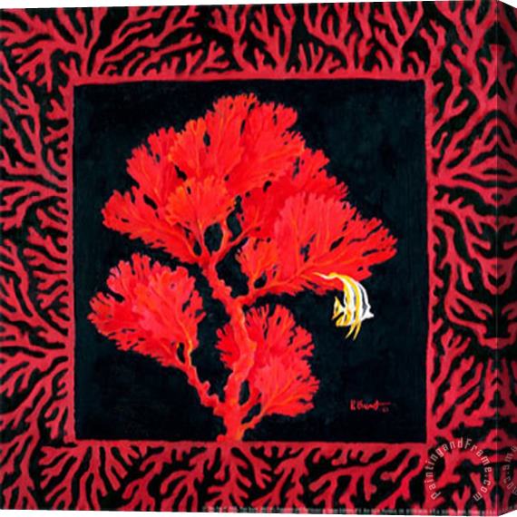 Paul Brent Sea Fan II Stretched Canvas Painting / Canvas Art