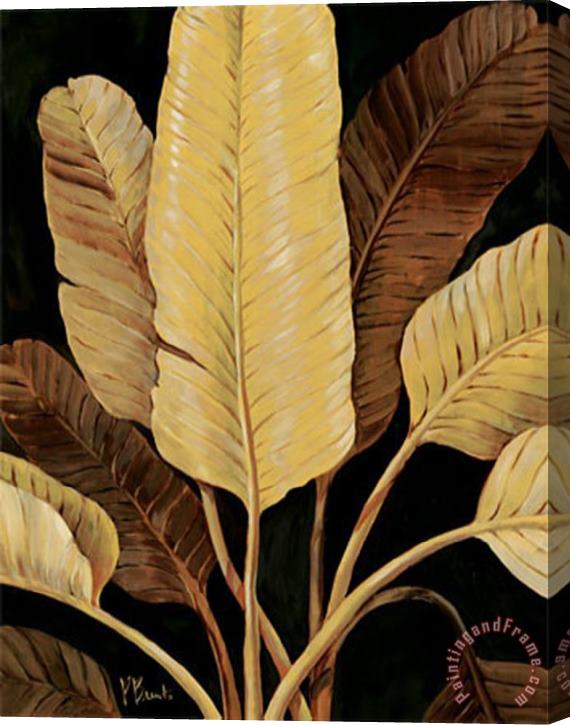 Paul Brent Traveller Palm Stretched Canvas Print / Canvas Art