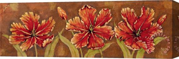 Paul Brent Venetian Tulips Stretched Canvas Print / Canvas Art