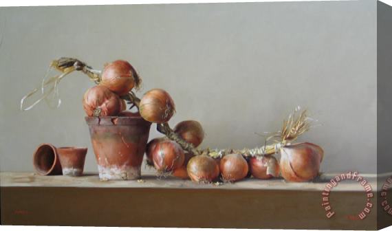 Paul Brown French Onions Stretched Canvas Print / Canvas Art