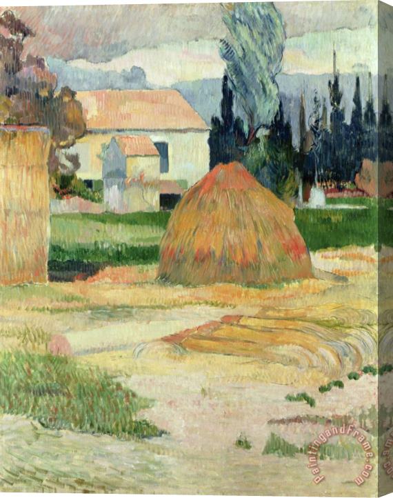 Paul Gauguin Landscape near Arles Stretched Canvas Painting / Canvas Art