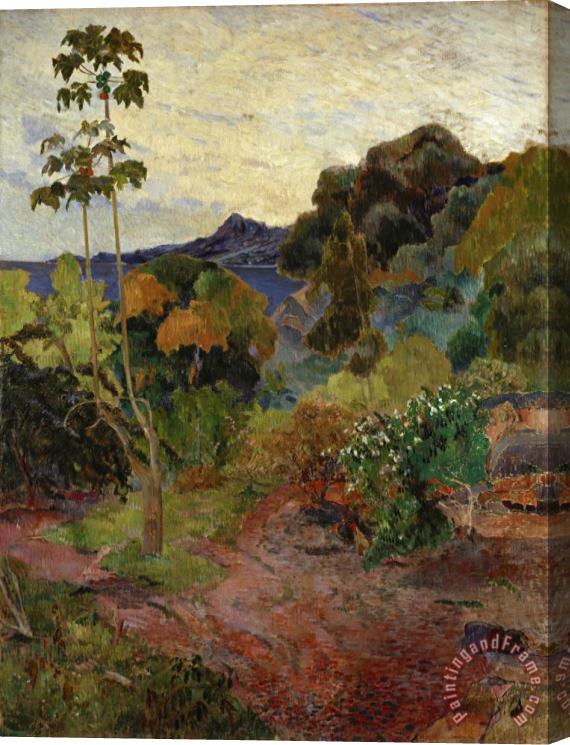 Paul Gauguin Martinique Landscape Stretched Canvas Print / Canvas Art