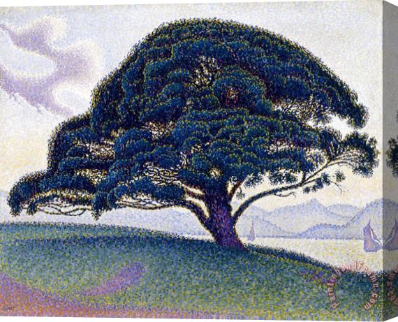 Paul Signac The Bonaventure Pine Stretched Canvas Print / Canvas Art