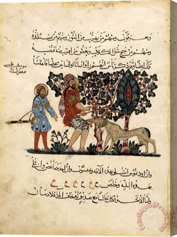 Pedanius Dioscorides Folio From an Arabic Translation of The Materia Medica by Dioscorides Stretched Canvas Painting / Canvas Art