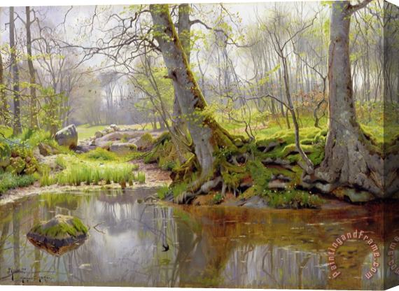 Peder Monsted Woodland Pond Stretched Canvas Painting / Canvas Art