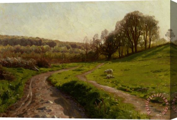 Peder Mork Monsted A Country Field Stretched Canvas Print / Canvas Art
