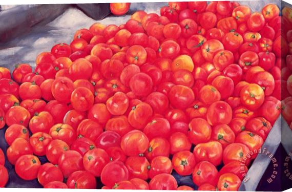 Peter Breeden Tomatoes Stretched Canvas Print / Canvas Art