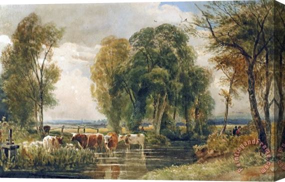 Peter de Wint Landscape Cattle In A Stream With Sluice Gate Stretched Canvas Painting / Canvas Art