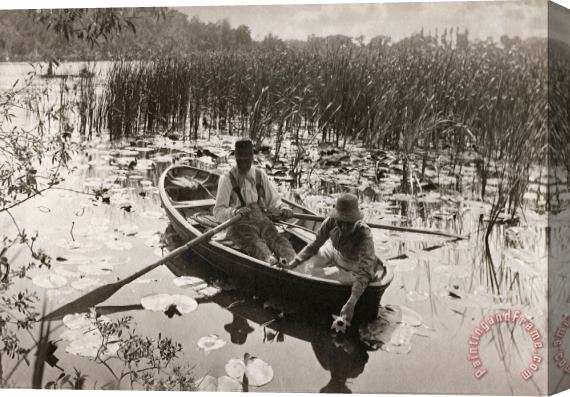 Peter Henry Emerson Gathering Waterlilies Stretched Canvas Painting / Canvas Art