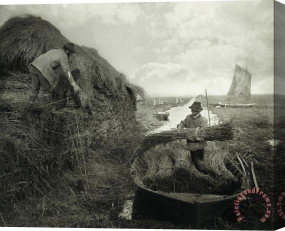 Peter Henry Emerson Ricking The Reed Stretched Canvas Print / Canvas Art