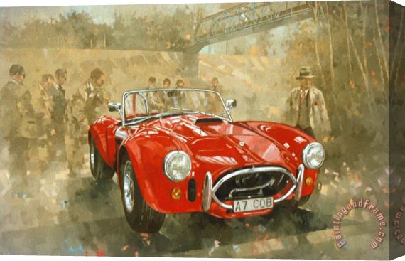 Peter Miller Cobra at Brooklands Stretched Canvas Painting / Canvas Art