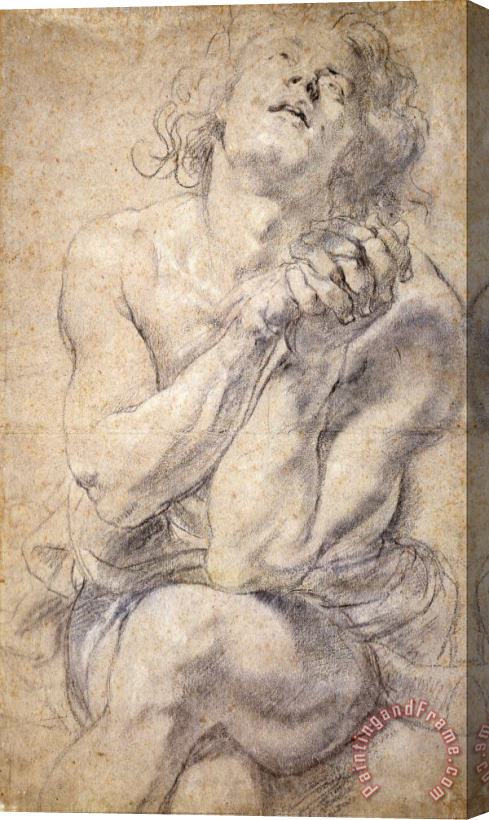 Peter Paul Rubens Seated Male Youth (study for Daniel) Stretched Canvas Print / Canvas Art
