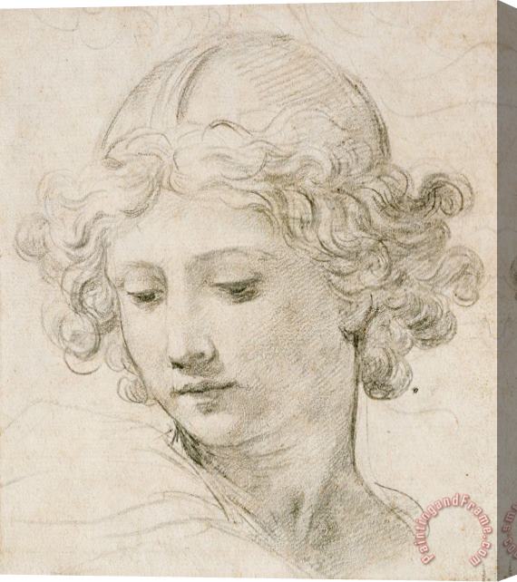 Pietro da Cortona Head Of An Angel Stretched Canvas Print / Canvas Art