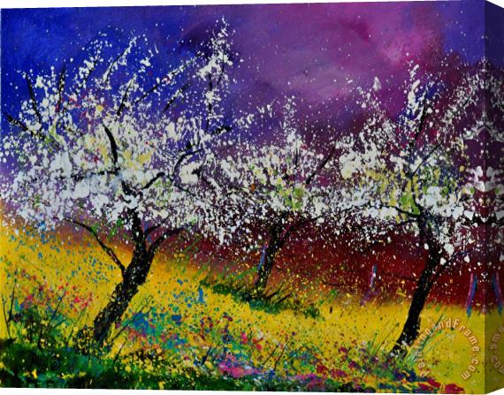 Pol Ledent Appletrees In Blossom 450160 Stretched Canvas Print / Canvas Art