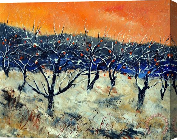 Pol Ledent Appletrees In Winter Stretched Canvas Print / Canvas Art