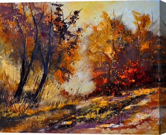 Pol Ledent Autumn In The Wood Stretched Canvas Painting / Canvas Art